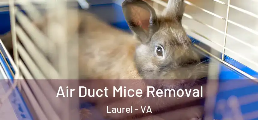 Air Duct Mice Removal Laurel - VA