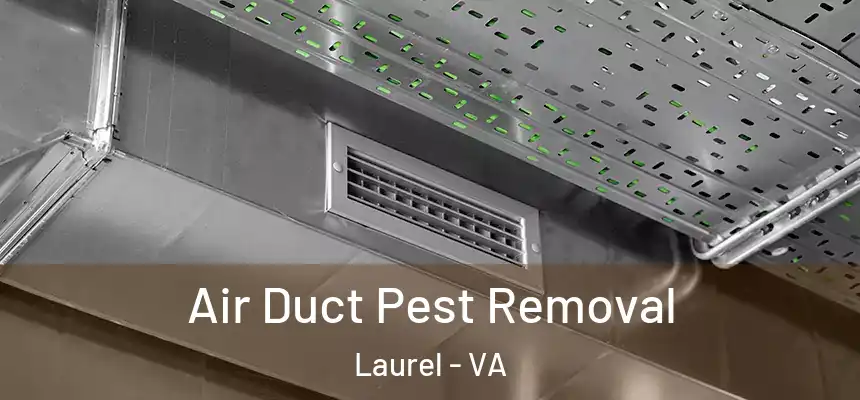  Air Duct Pest Removal Laurel - VA