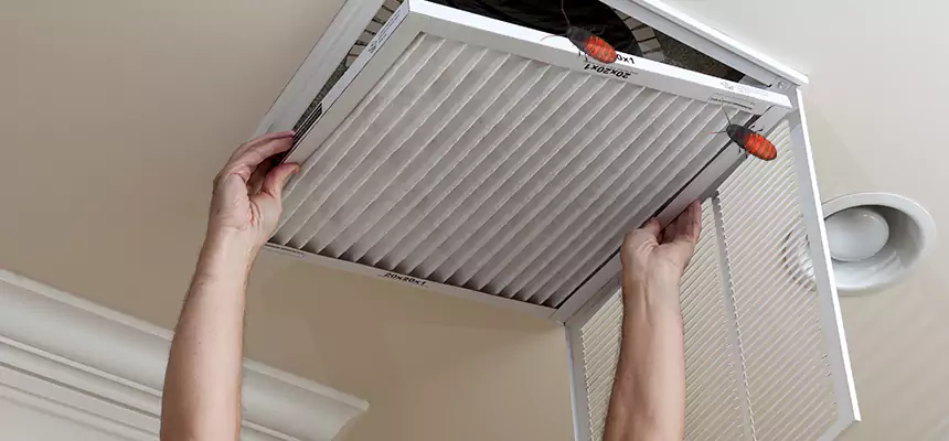 Preventive Cockroach-Proofing for Ducts in Laurel