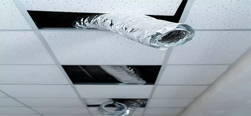 Our Air Duct Pet Hair Removal Services in Laurel, VA