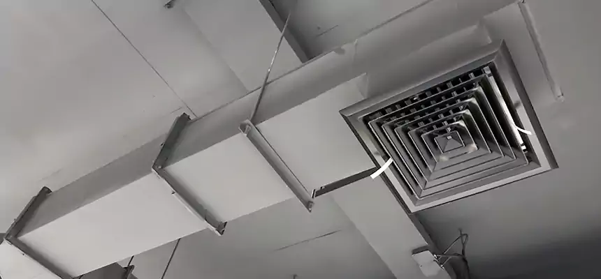 Our Rodent Droppings In Vents Services in Laurel, VA