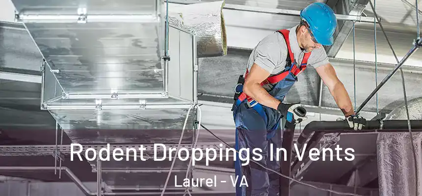  Rodent Droppings In Vents Laurel - VA